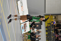 DSC_0104.JPG